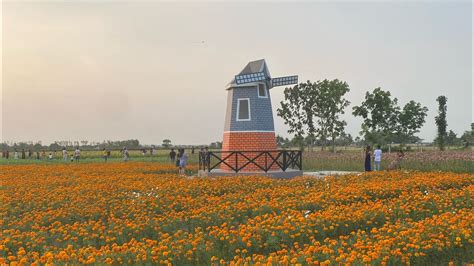 VillaRonte Farm .